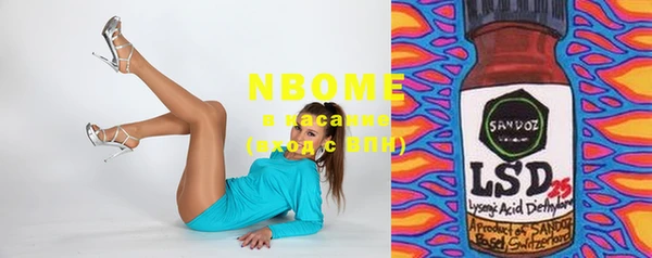 шишки Абаза