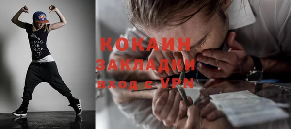 шишки Абаза