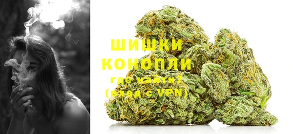 шишки Абаза